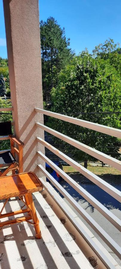 Apartman Lux Sneznik Vrnjačka Banja Екстериор снимка