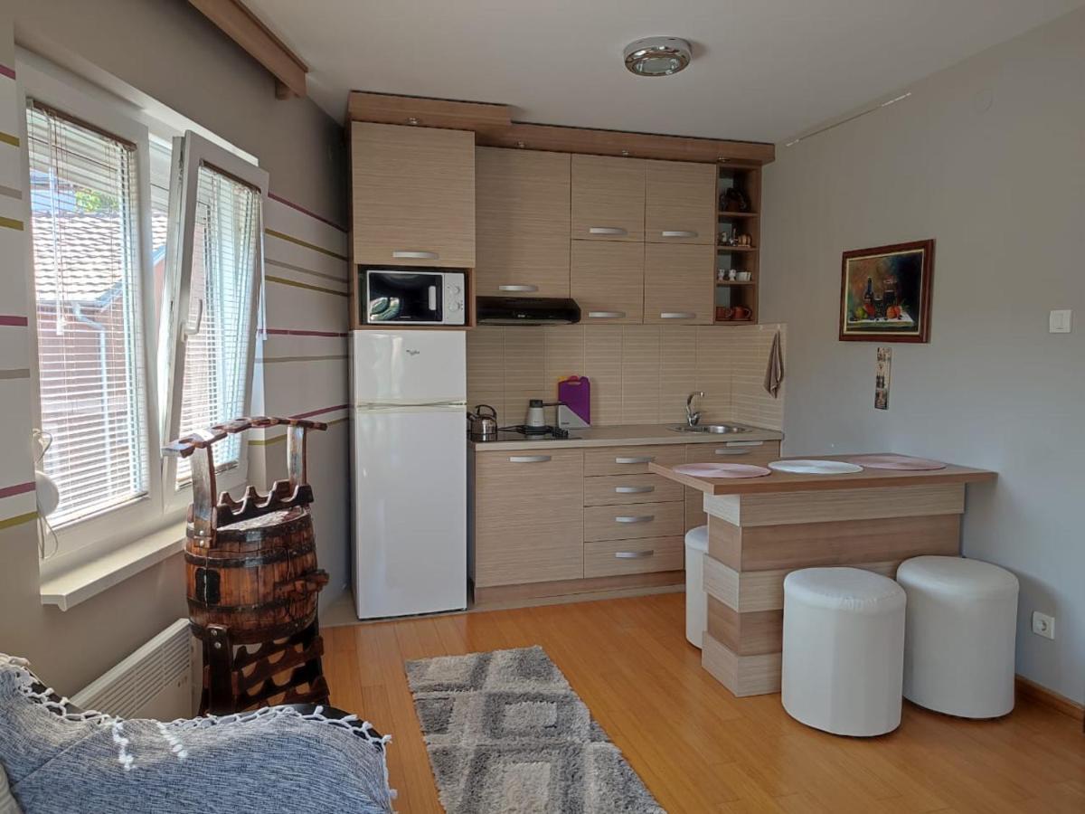 Apartman Lux Sneznik Vrnjačka Banja Екстериор снимка